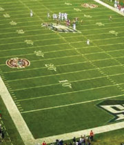 Sports Surfaces