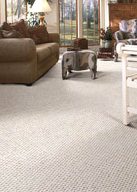 Carpet